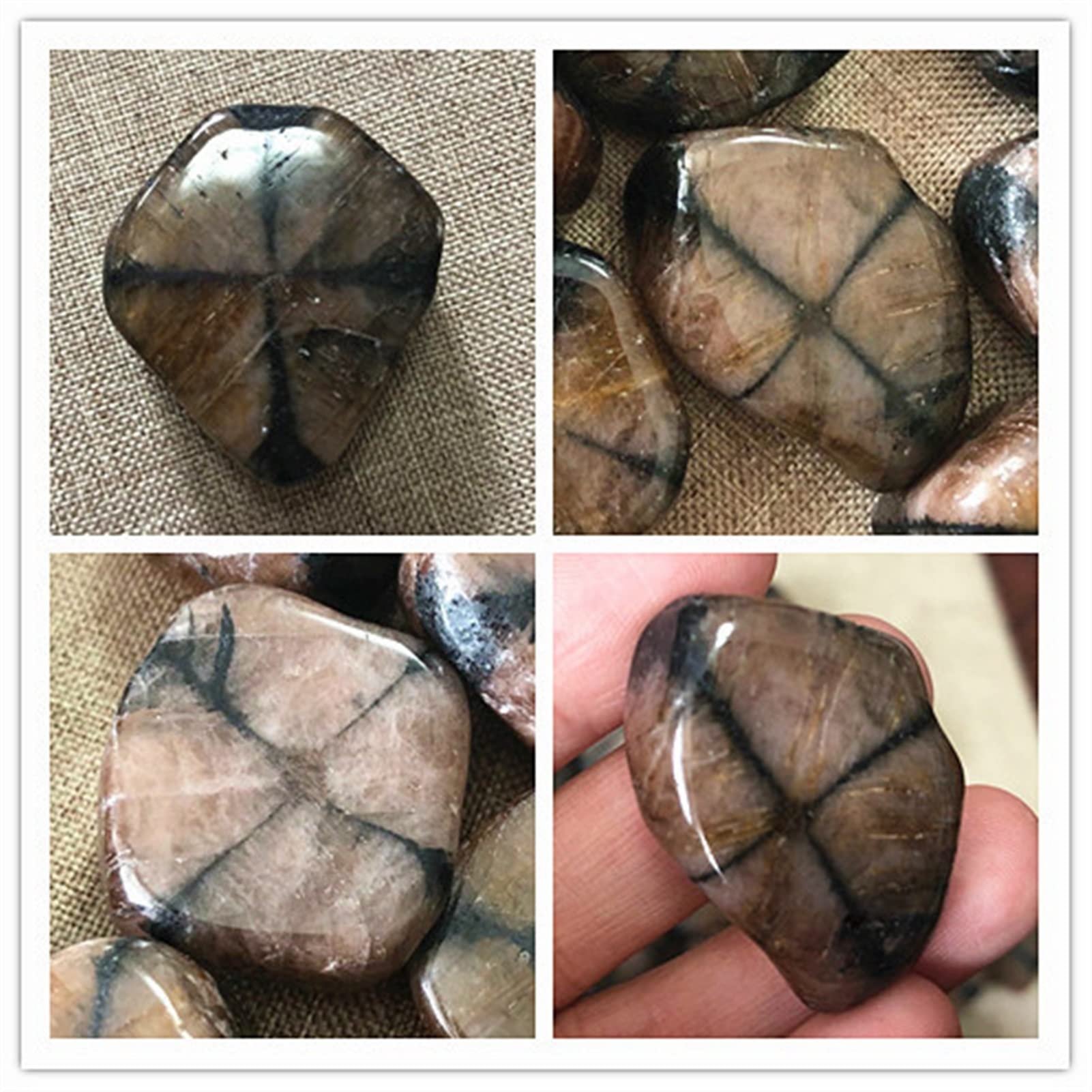 Cristallo Naturale Grezzo 2pc Gemstone Naturale Grumo Crudo Staurolite lucidato Fairy Cross Pietra Minerale Specimen Reiki Healing Quartz Crystal