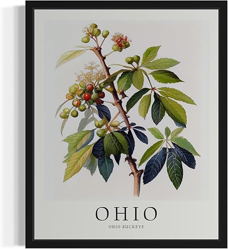 Ohio Buckeye Tree Poster Wall Art Painting, US State Print Artwork, Vintage Art 
