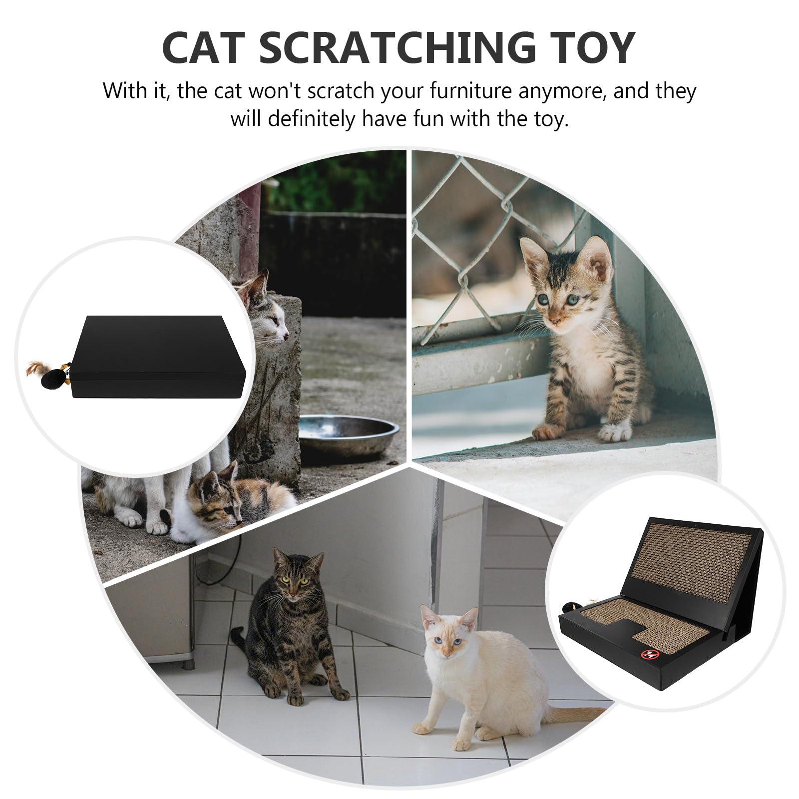 Katzenkratzbrett für Katzen, 1 Set, kreatives Kratzspielzeug in Laptopform, mit Beißring, tragbar, für Zuhause