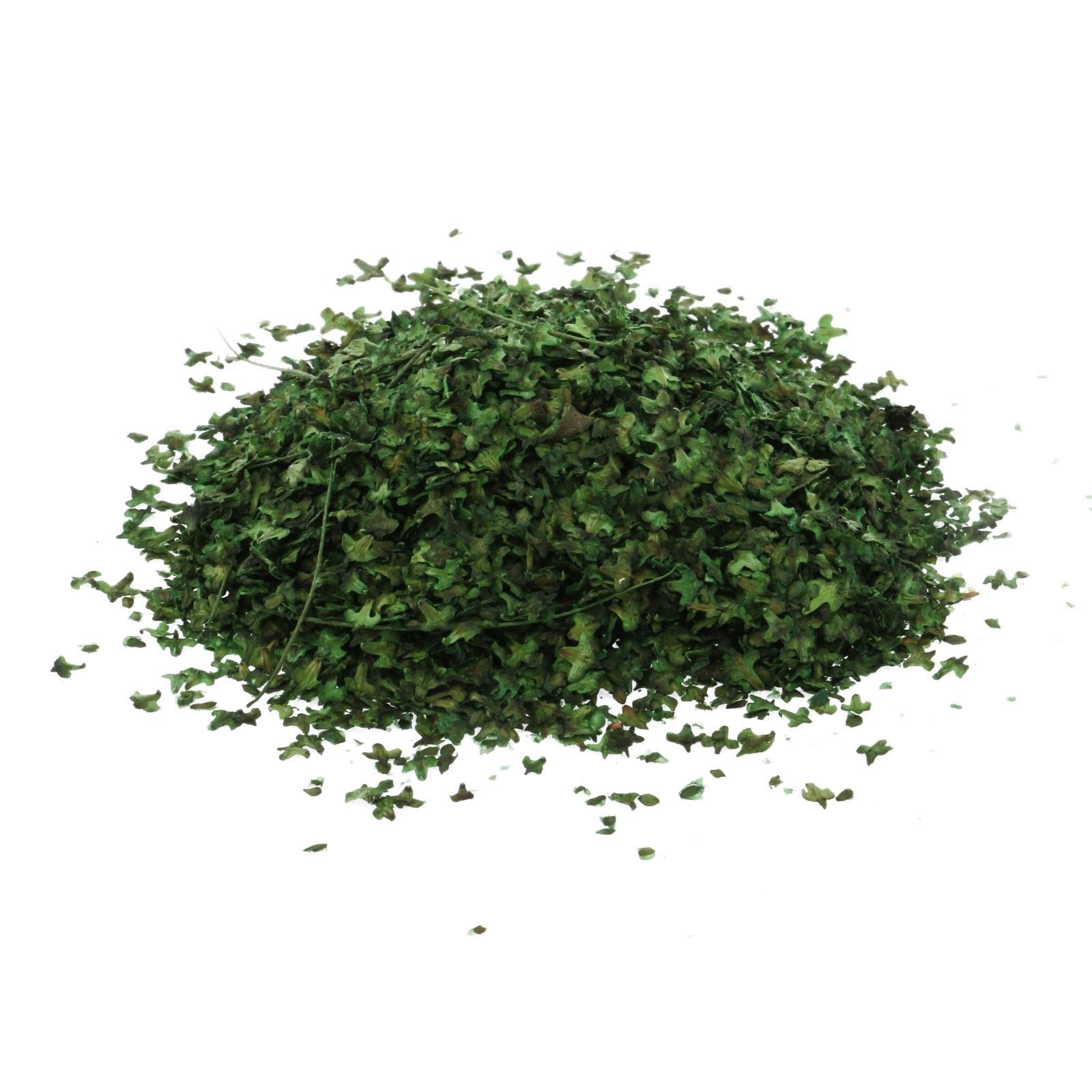 Baoblaze Realistic Miniature Leaves, Simulation Leaves for DIY Mini Model, Railway, Fairy Garden, Architecture, Diorama Landscape, Spring Green