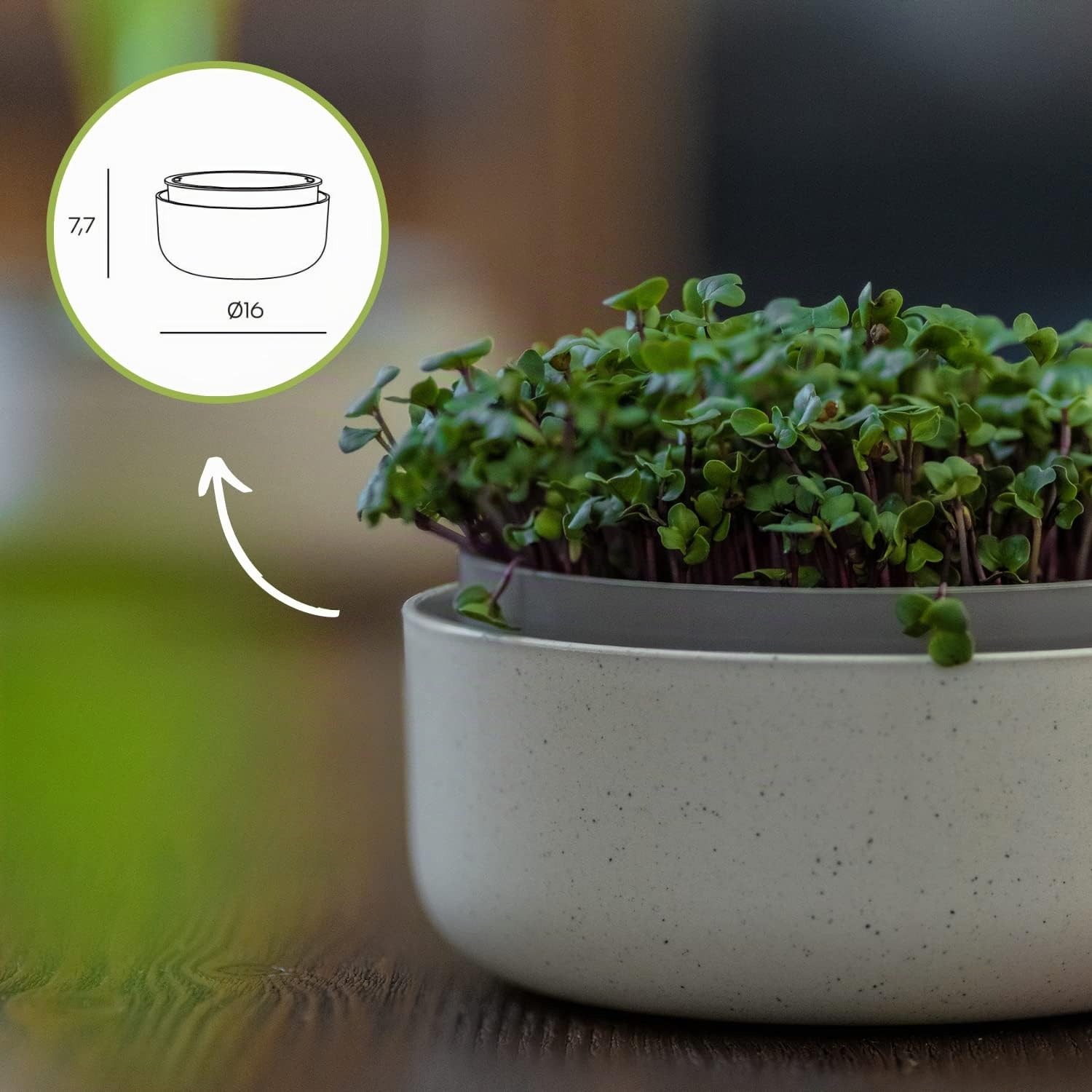 Urbalive - Cuenco Grande de 16 cm para brotes, Semillas, microgreens – Diseño colador de plástico – Germsprossenbox germinador con Mezcla de café