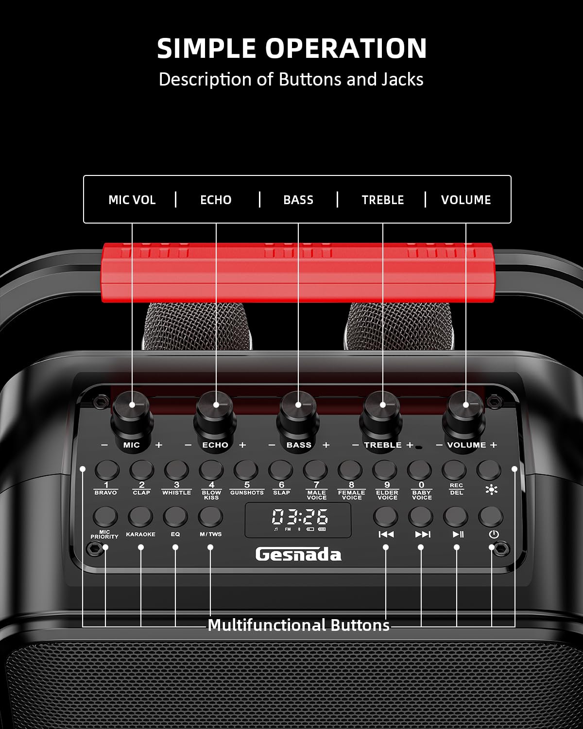 Karaoke con 2 Microfono, Casse Karaoke Professionale Completo,Portatile Bluetooth con modalità karaoke/MIC modalità priorità/TWS/REC/EQ/FM/regolazione dei toni alti e bassi/ECHO,Supporta USB/TF/AUX