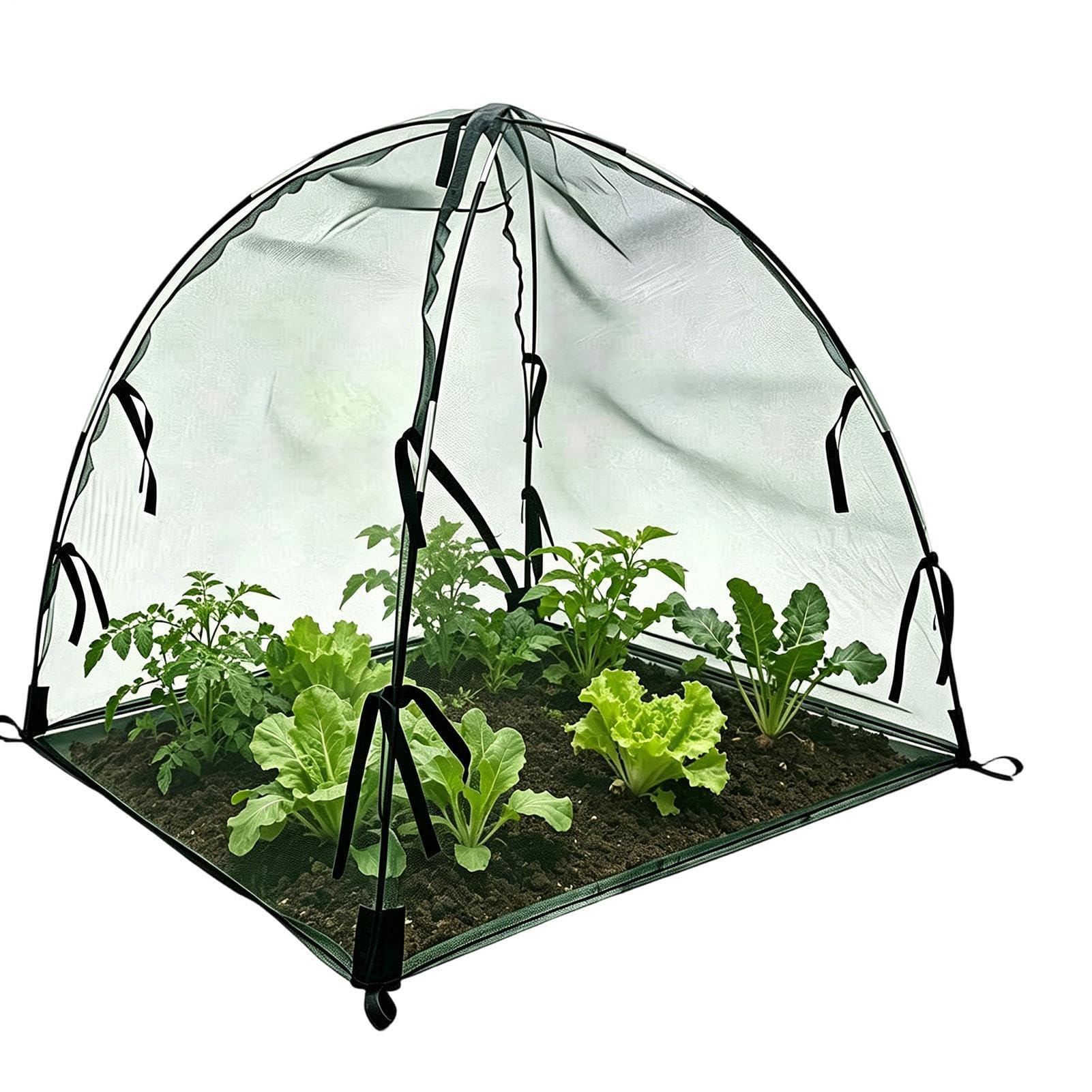 Cage en filet respirante anti-animaux pour légumes et fraises de terrasse