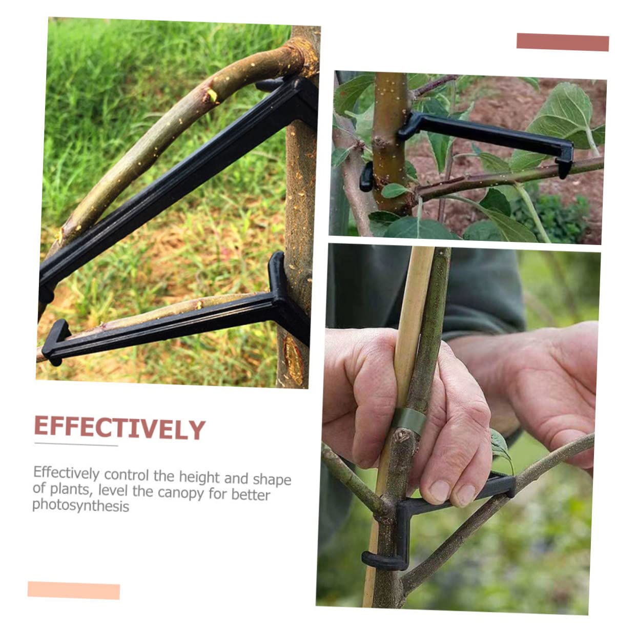 UPKOCH 2 Sätze Pflanzenzweig Bieger Clips Verstellbare Halter Für Obstbäume Und Blumen Zur Formung Und Unterstützung Von Pflanzen Langlebig Und Wetterbeständig 25 Stücke * 2