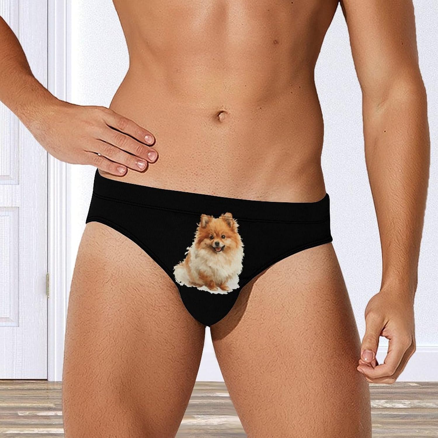 Pomeranian Dog Furry Men's Swimwear Bikini Swimming Briefs Stretchy Swimsuits Board Surf Shorts Trunks