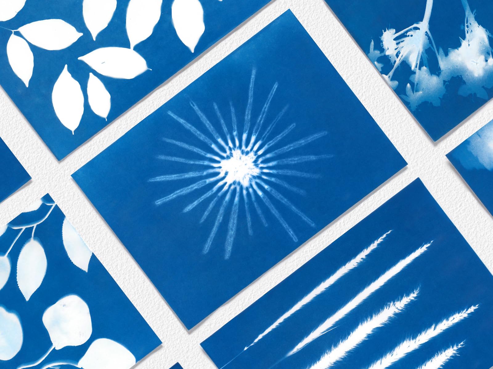 Cyanotype Kit: Create Stunning Sun Prints - Beginner Friendly -3