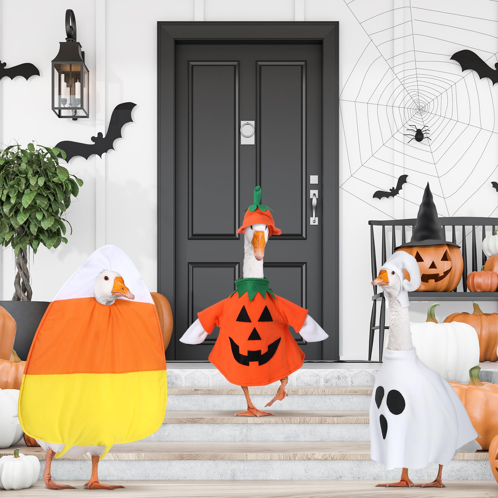 Amazon.com: Bulyoou 3 Set 23'' Goose Outfit Halloween Pumpkin