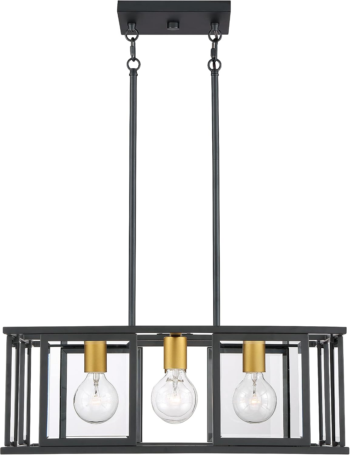 Nuvo Lighting 60/6414 Transitional Four Light Pendant from Payne Collection in Black Finish, 22.00 inches