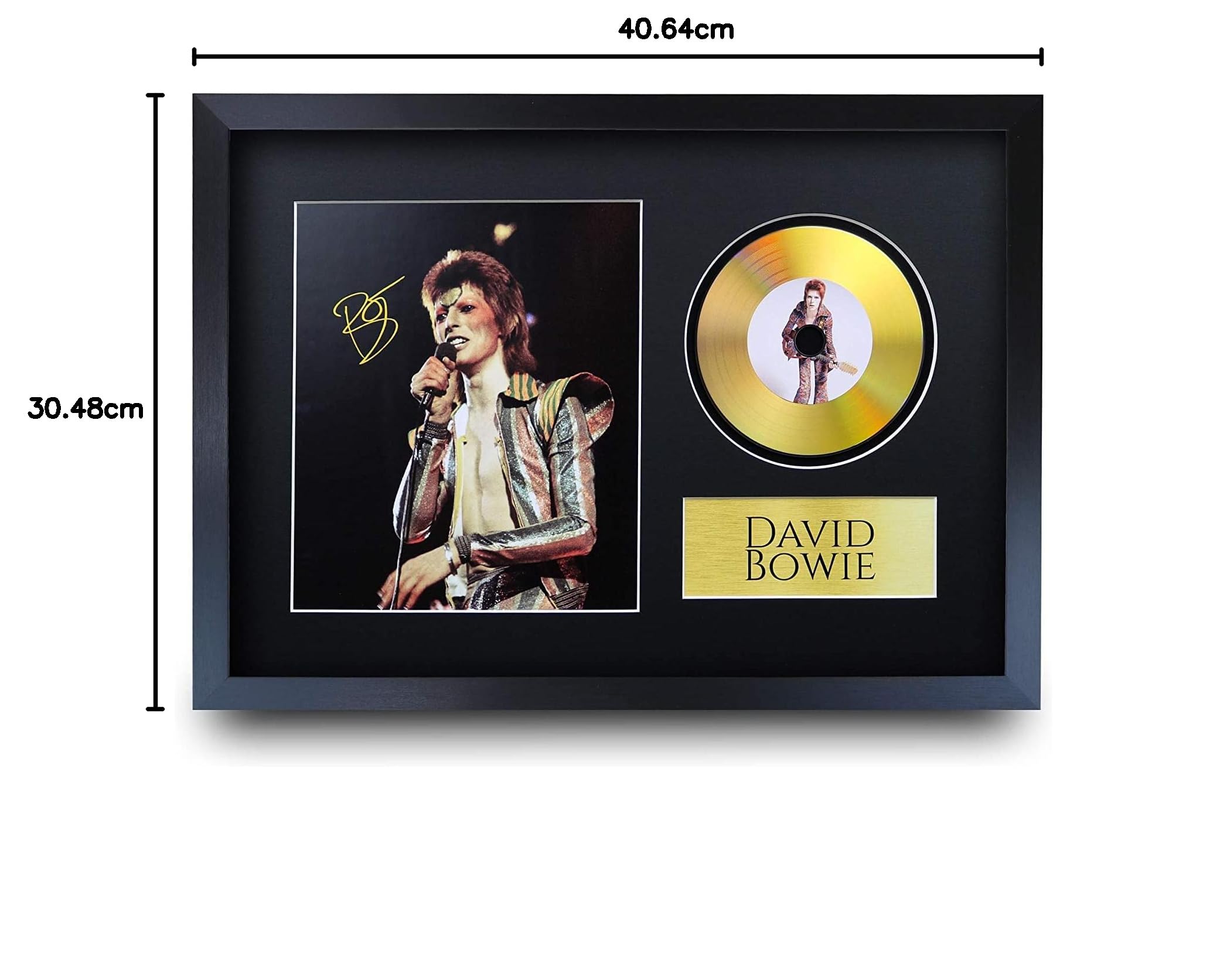 デヴィッド・ボウイ DAVID BOWIE サイン入りレコード デヴィッド・ボウイ David Bowie サイン入り 12インチ レコード Lodger