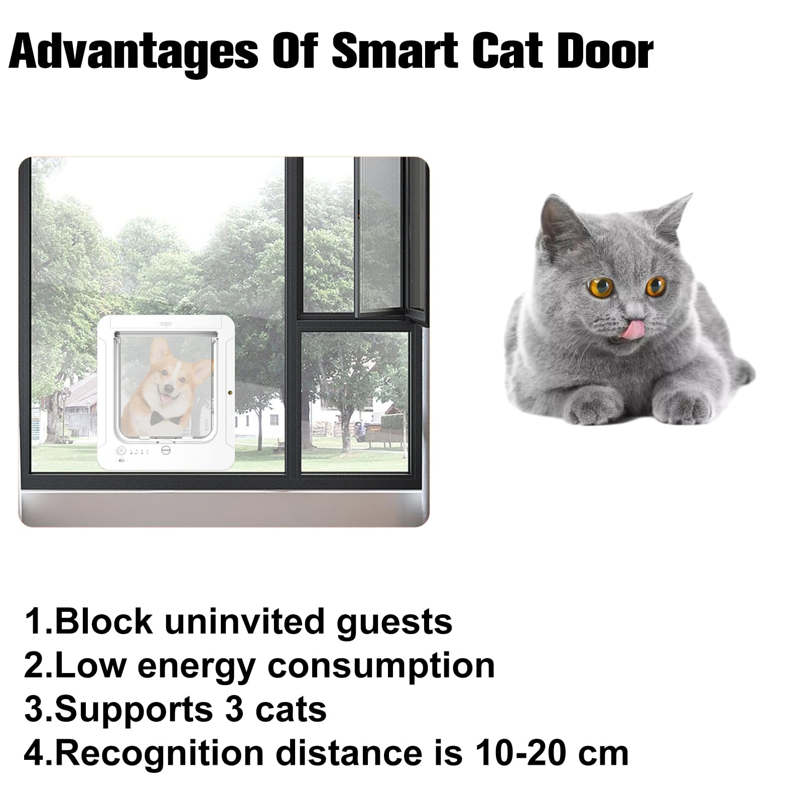 Porte pour Chat avec Collier à Puce électronique, Porte électronique Intelligente pour Chat et Petit Chien, Ouverture/Fermeture Automatique
