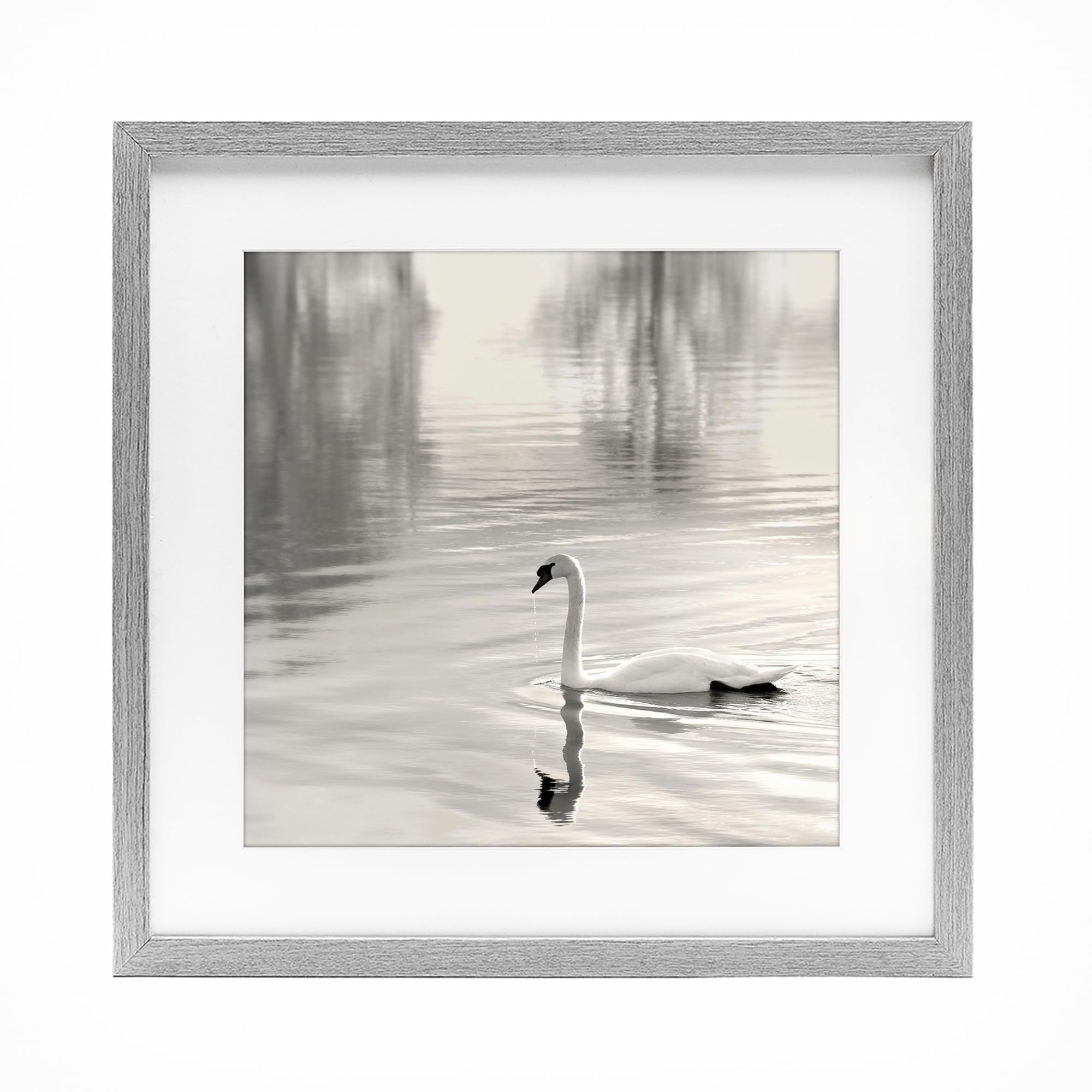 Stupell Industries Farmhouse Gray (Textured) 'Morning Sunlit Swan'| Framed Print Under Glass