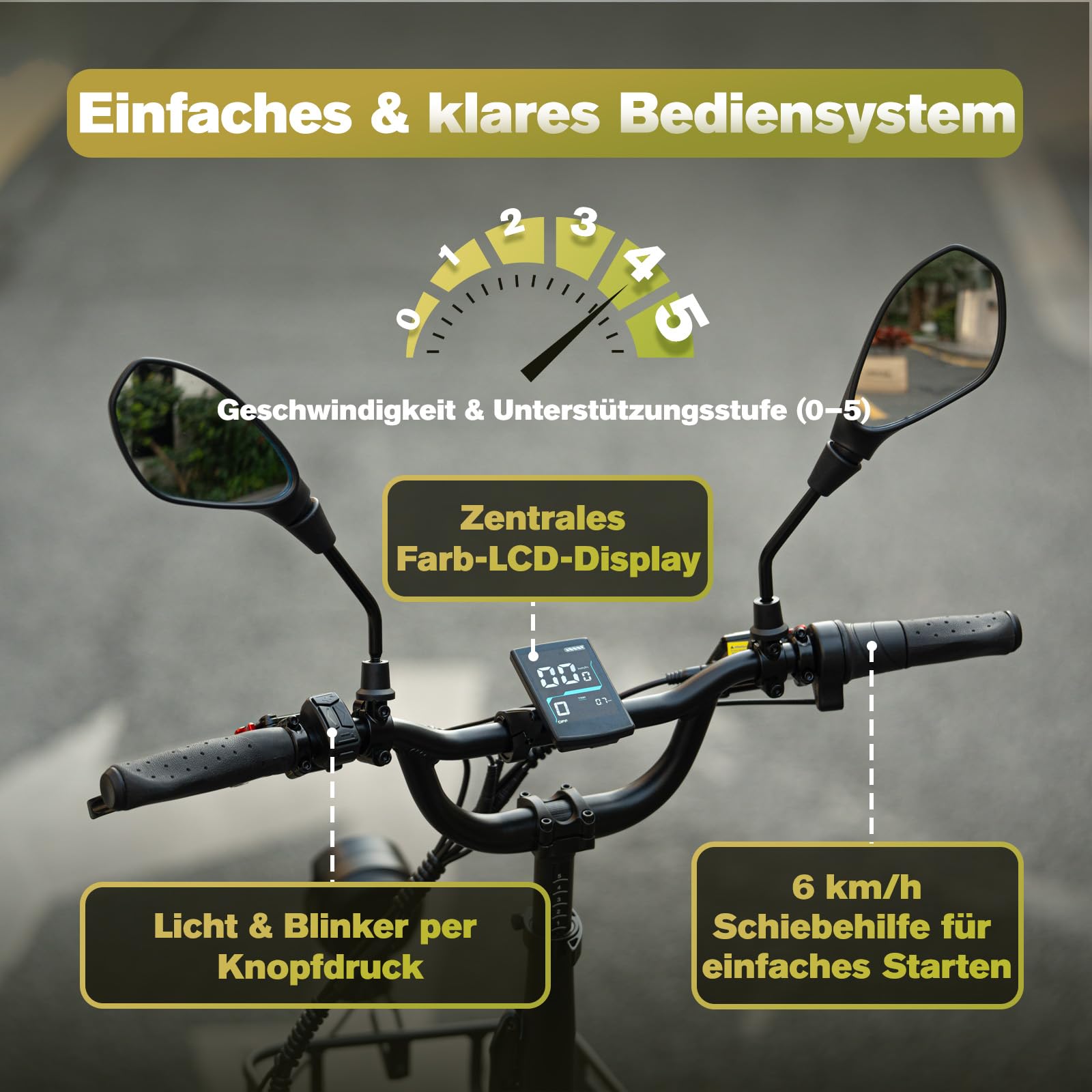Fafrees F20 Mate E Bike - Triciclo per adulti, 48 V, omologazione ufficiale, bicicletta elettrica da uomo e donna, 3 ruote 65 N.m, triciclo elettrico da 20 pollici, 180 kg3