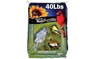 Black Oil Sunflower Birdseed For Wild Birds