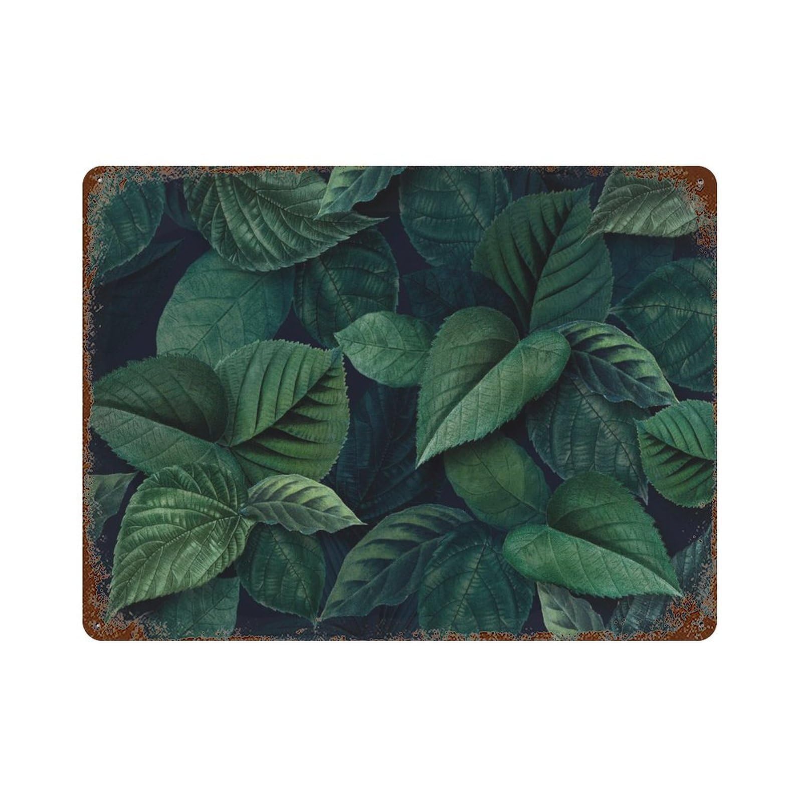xiaoxiaoshen Tropical Green Leaf Botanical Wall Decor Art Metal Tin Poster Modern Home Decor Art Home Bar Shop Decorations Vintage Sign 30x40cm