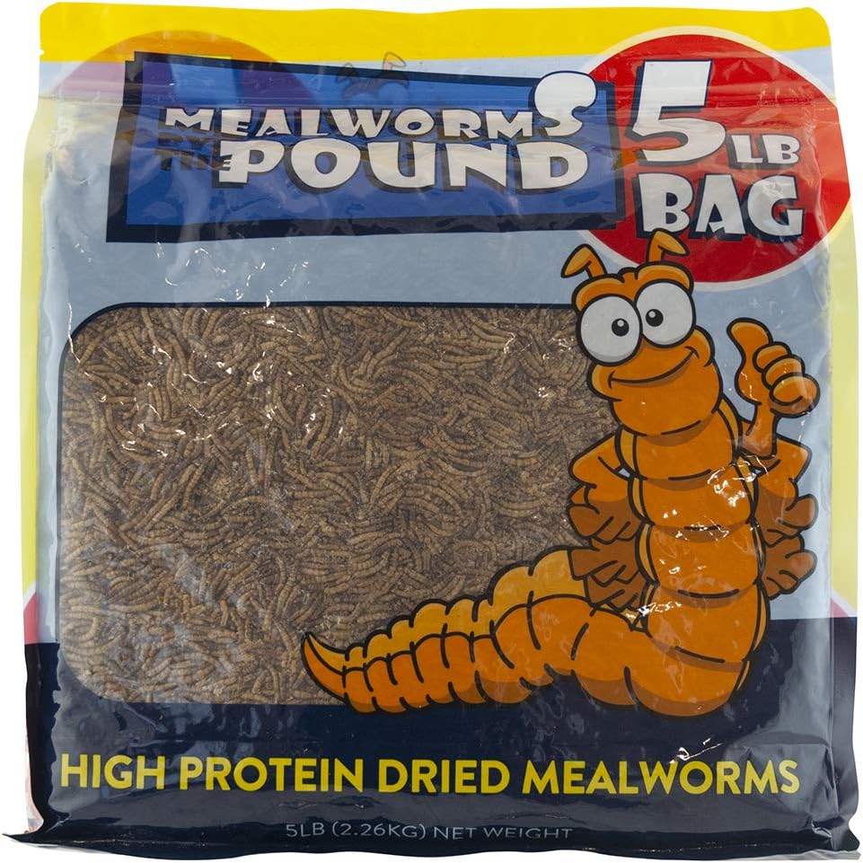 chewy mealworms
