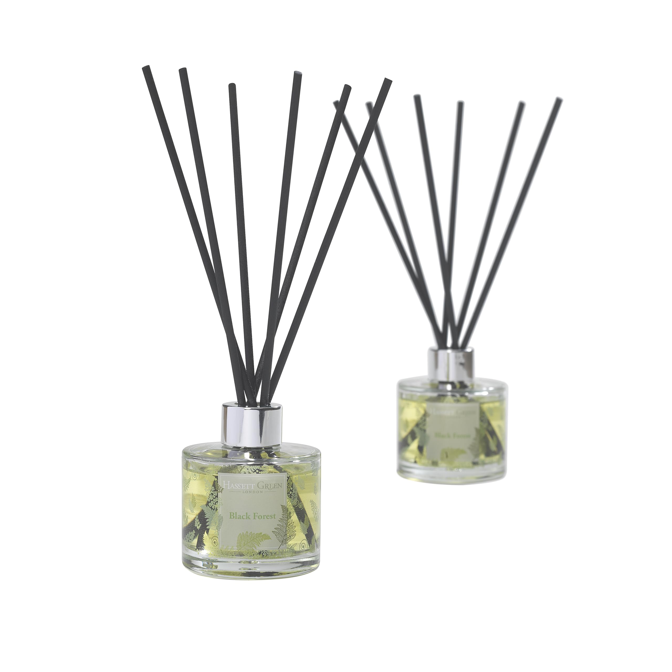 Hassett Green London Black Forest Reed Diffuser Duo 2 x 125ml | 2 empty glass bottles, fibre reeds & 250ml oil, Pine, eucalyptus, mint & soft woods, Alcohol-free, Reduced packaging, UK made