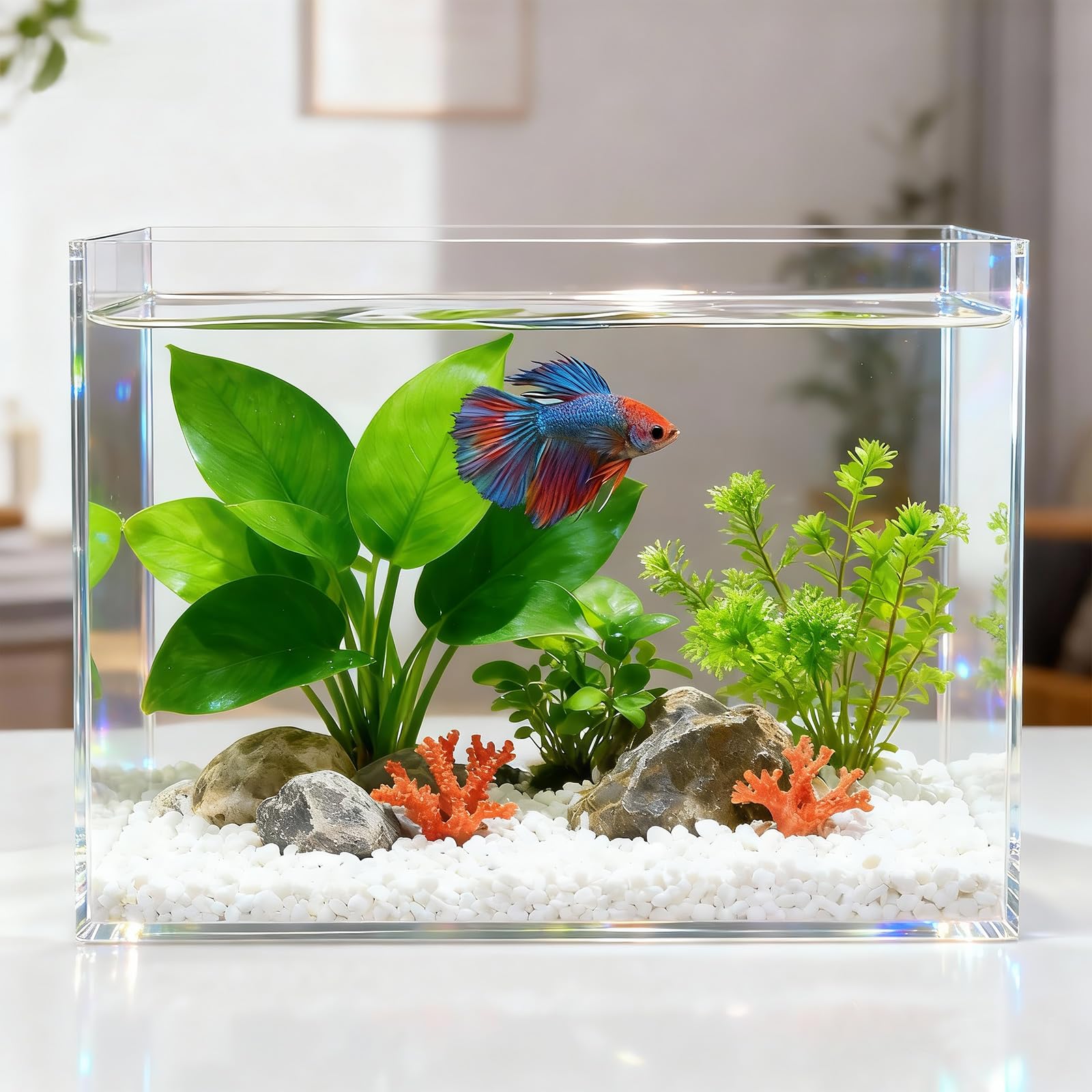 3 Gallon Acrylic Fish Tank with Mat, Small Aquarium for Raising Betta Fish, Goldfish, Snails, Snakes, Shrimp, and Aquatic Plants, Easy to Maintain