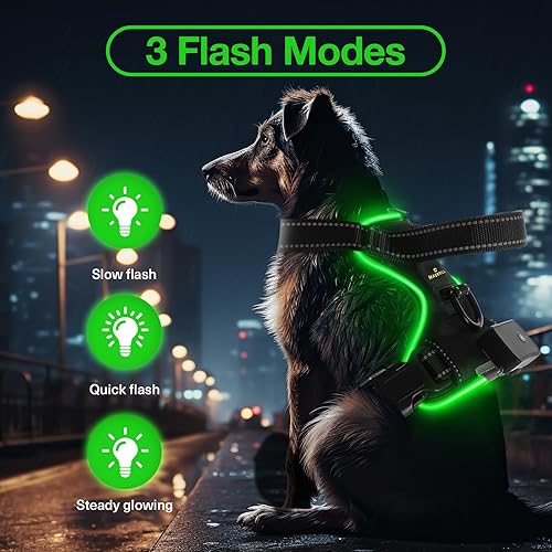 Miniatura 2 de MASBRILL Arnés para perro con luz LED, sin tirones, arnés recargable con luz para perro para caminar por la noche, chaleco ajustable brillante para