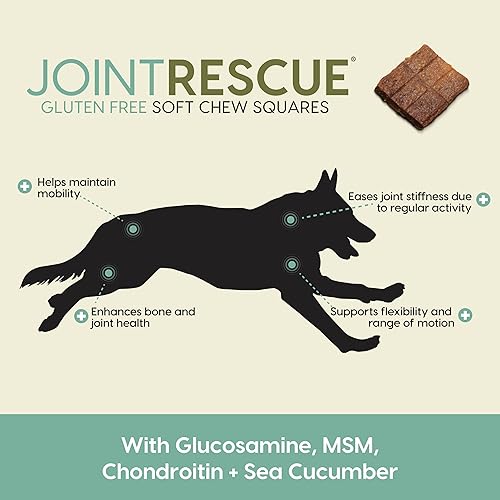 Miniatura 2 de ARK NATURALS Joint Rescue Dog Chew