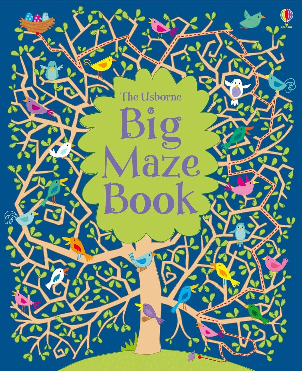 Big Maze Book (Maze Books) Paperback – 1 Jan. 2013