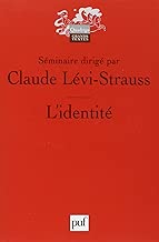 Download L'identité PDF
