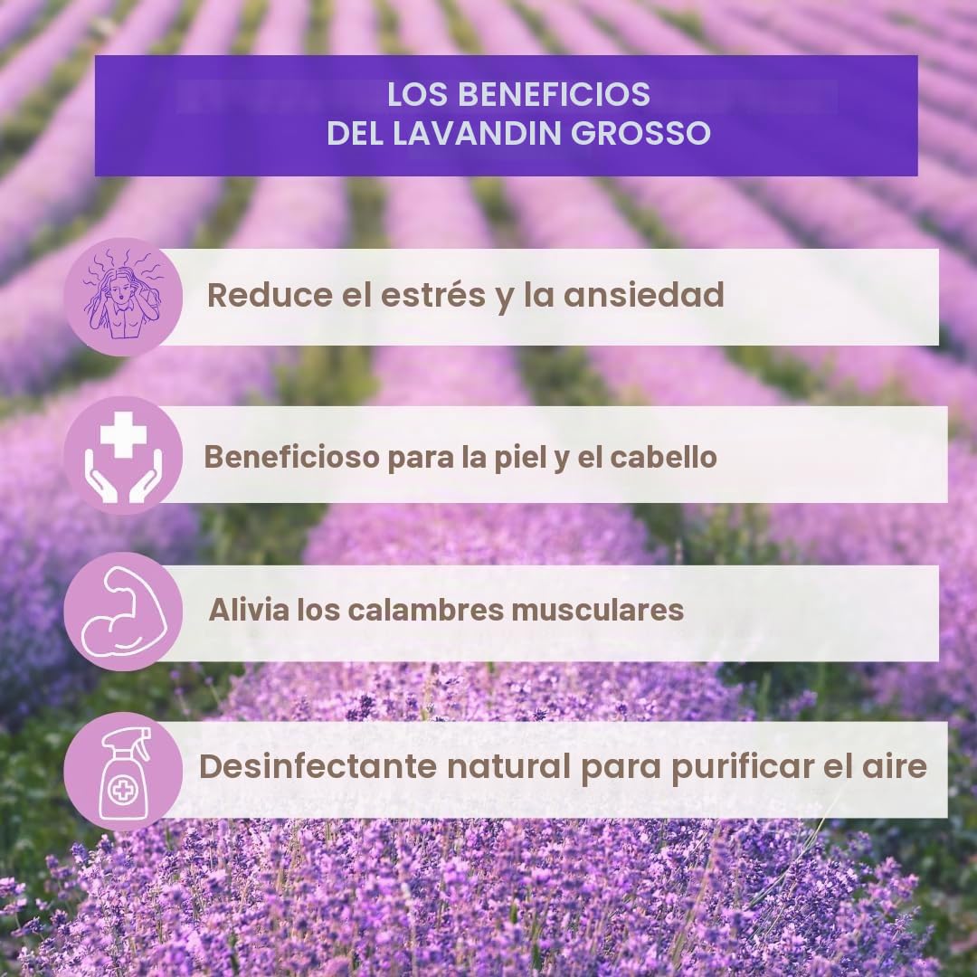 Aceite Esencial Lavandin Grosso 1 cama – Directo Productor Francia Drôme Provenzal – 100% puro y natural – Difusor, Aromaterapia, Relajación, Sueño, Bienestar –