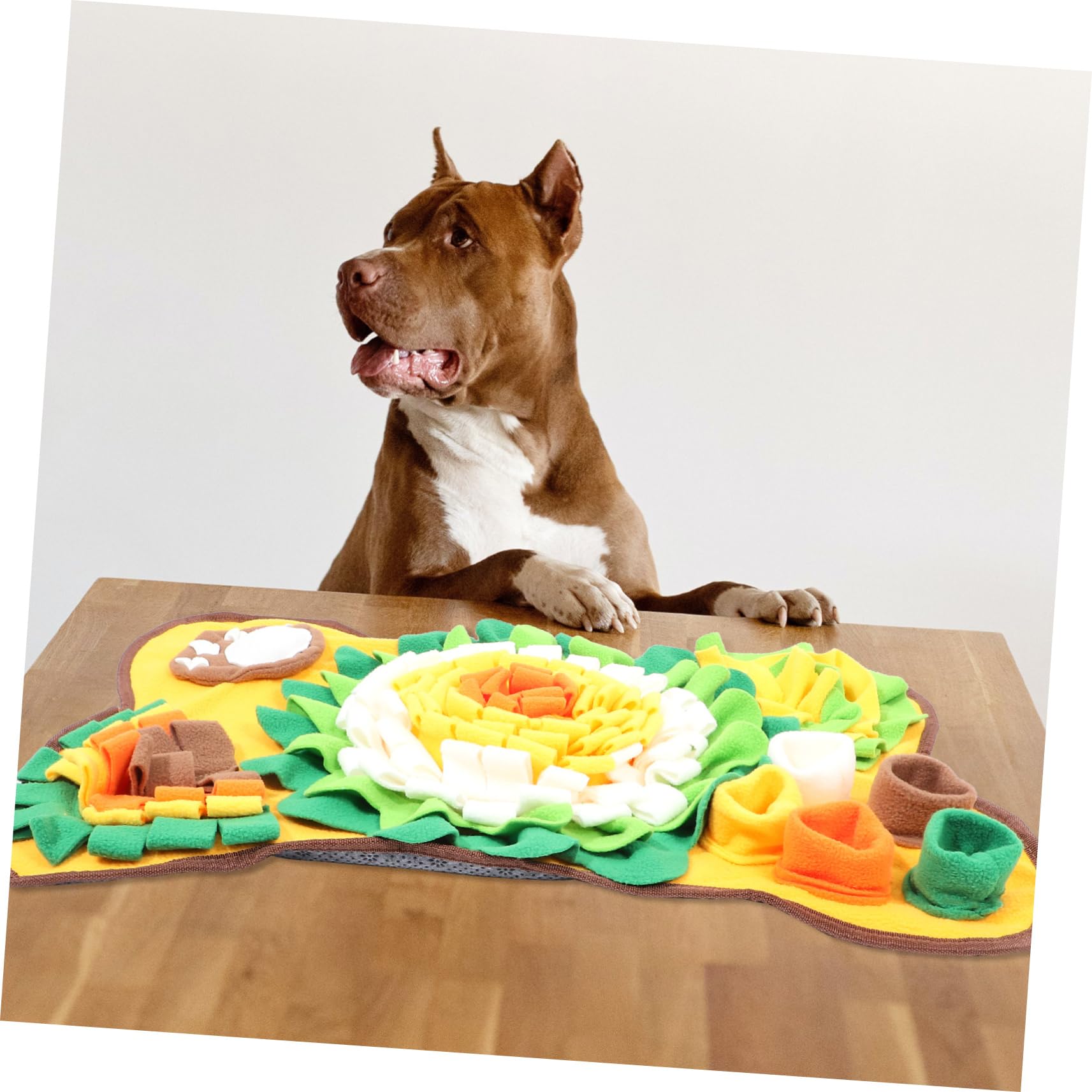 Alfombra Interactiva para Perros Manta Pequeña para Mascotas Tapete Olfativo de Alimentación Lenta Color Amarillo Dientes para Entrenamiento y Juego de Búsqueda de Comida