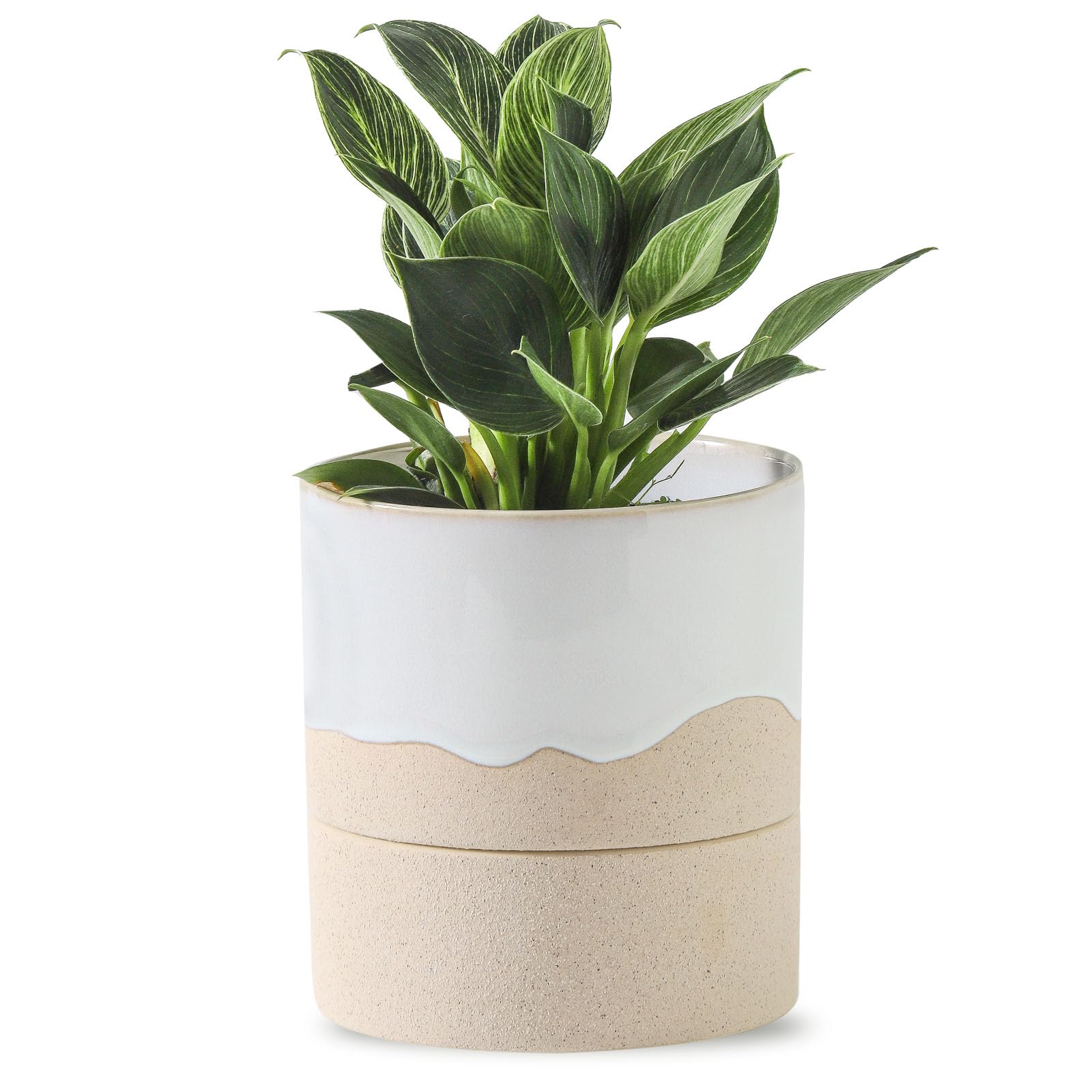 Nihow Self Watering Planter