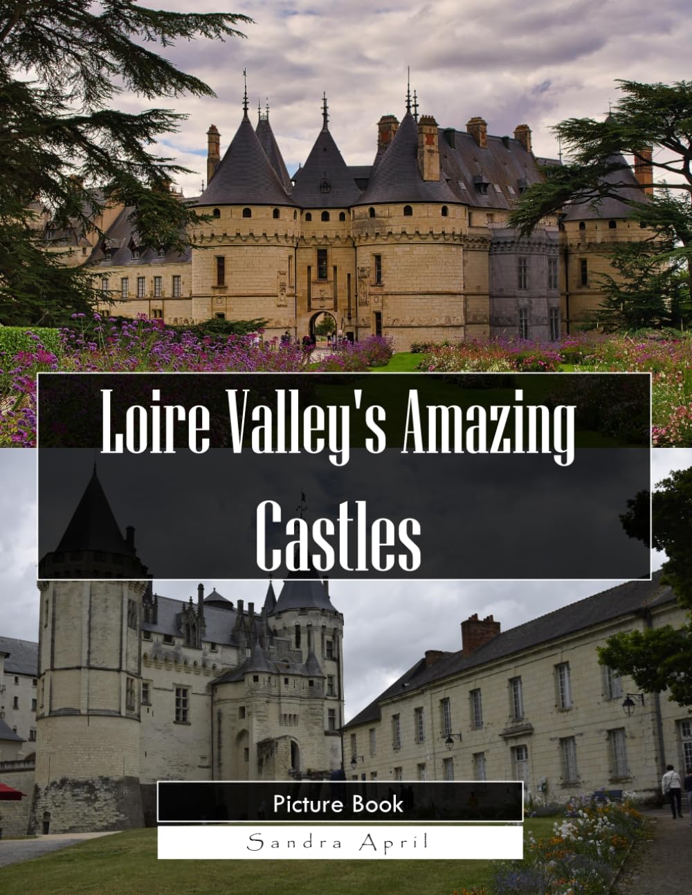 Loire Valley's Amazing Castles: A Stunning Coffee Table Picture Book – For Travelers & History Lovers