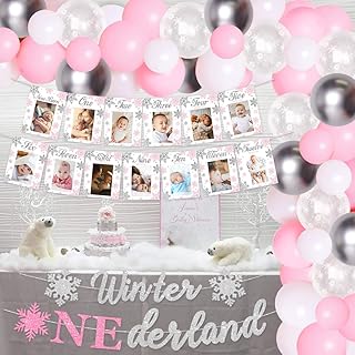 Onederland Birthday Party Decorations for Girl Wonderland 1st Birthday Decorations Snowflake Balloon Garland Kit Photo Banner Pink and Silver