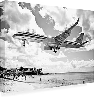 Trademark Fine Art - 'American Airliner' Canvas Art - 18x24