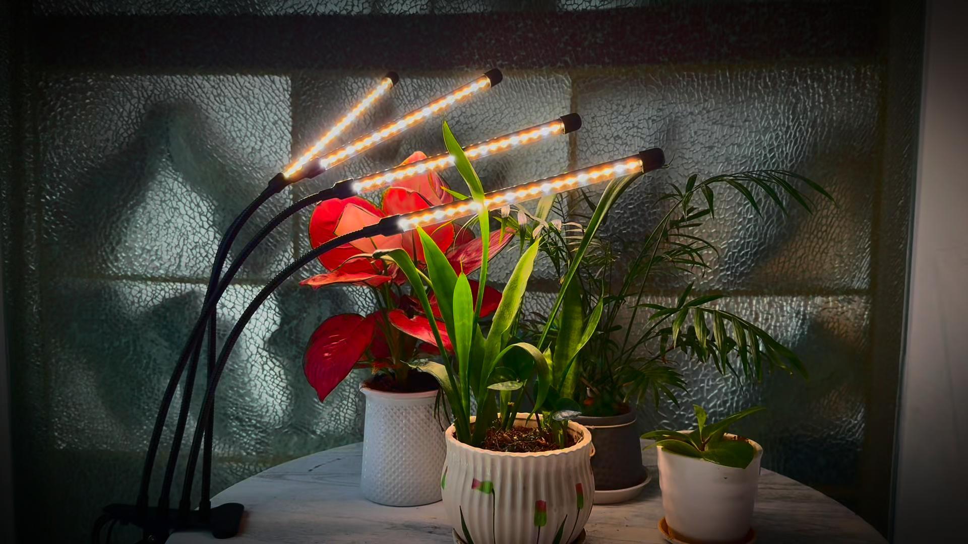 Amazon.co.jp: 植物育成ライト led スタンド 3ヘッド 126 LED クリップ