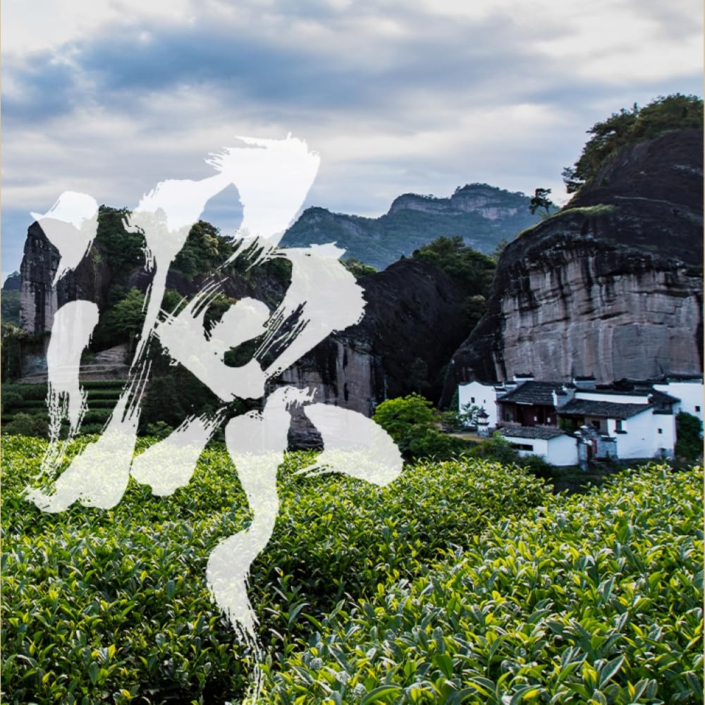 Amazon.com : 武夷岩茶,武夷岩茶肉桂,盒装,250g*2,Shipped from China