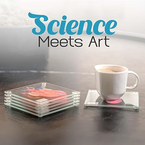 Miniatura 4 de Posavasos anatómicos para espécimen de corazón (juego de 6) - Juego de posavasos 3D para cerebro también disponible. Regalos de anatomía humana,