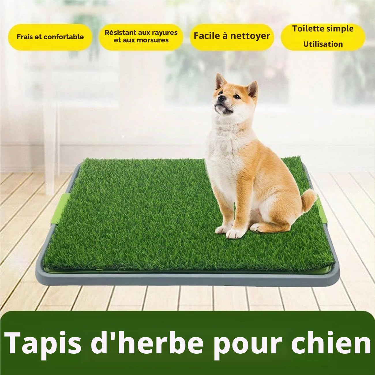 Bac de toilette pour chien avec tapis lavable pour pipi et gazon artificiel pour chiens chiots, litière portative pour chien d'intérieur