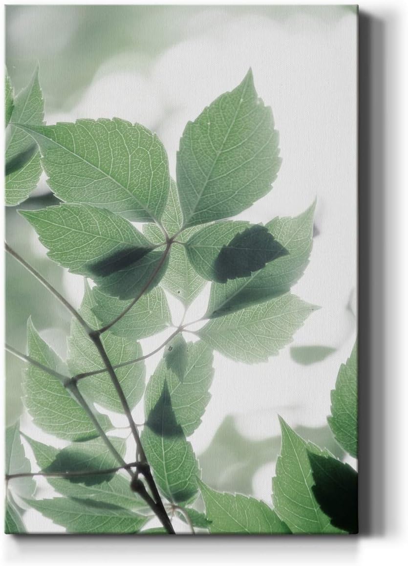 Floral Wall Décor, Wall Art Canvas, Geometric, Abstract, Transitional, & Country Chic Style, Ready to Hang - Fields of Green II 18X27