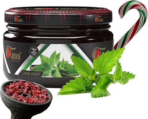Tanya Hierbas de caña de menta 100% nicotina y tabaco libre de shisha cachimba sabores 250G bolsa Shisha con sabores orgánicos reales de cachimba