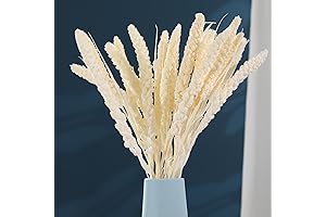 Caiyun Manor Natural Millet Flowers