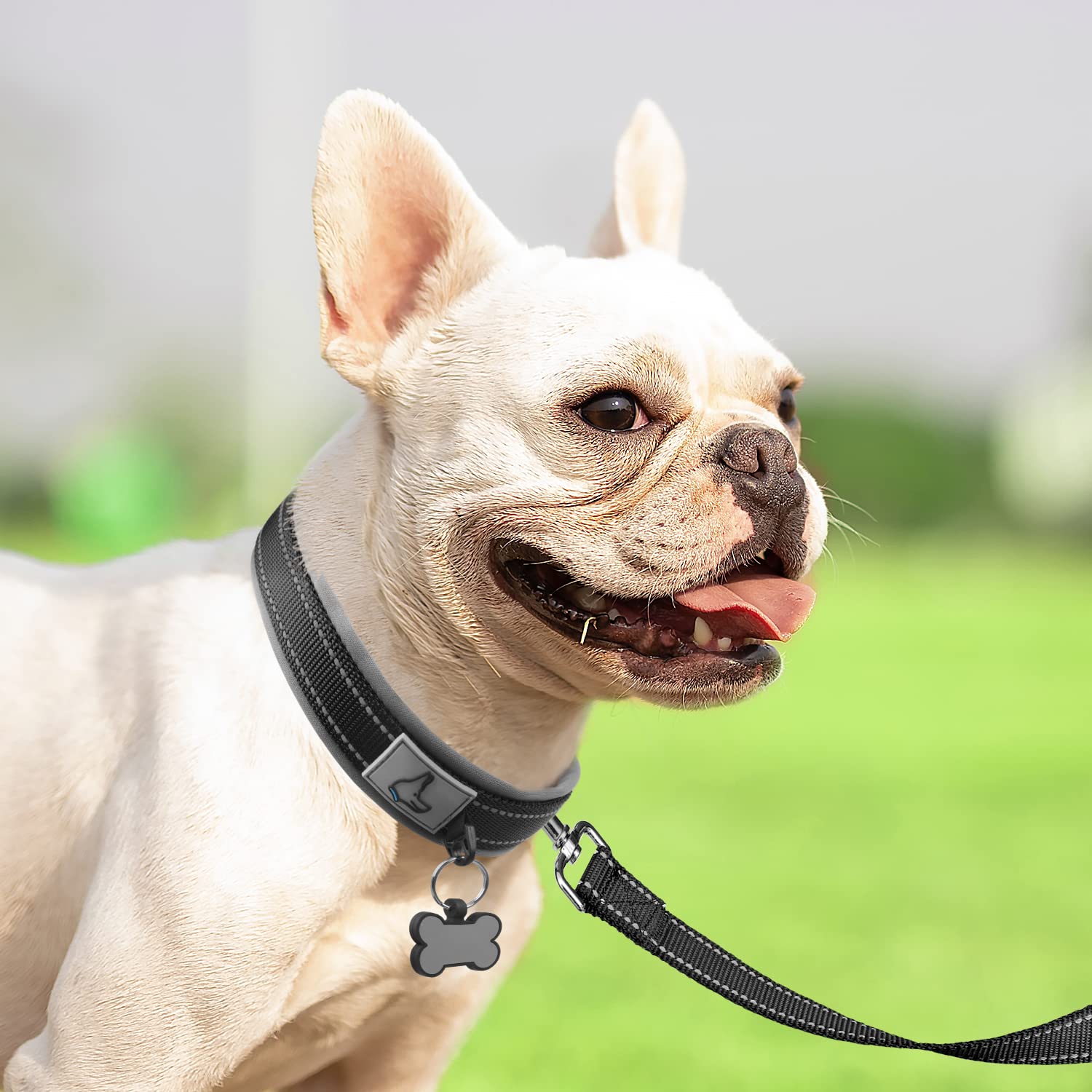 Joytale Reflective Dog Collar Small Dog, Balck, Small (30cm-40cm) - Image 3
