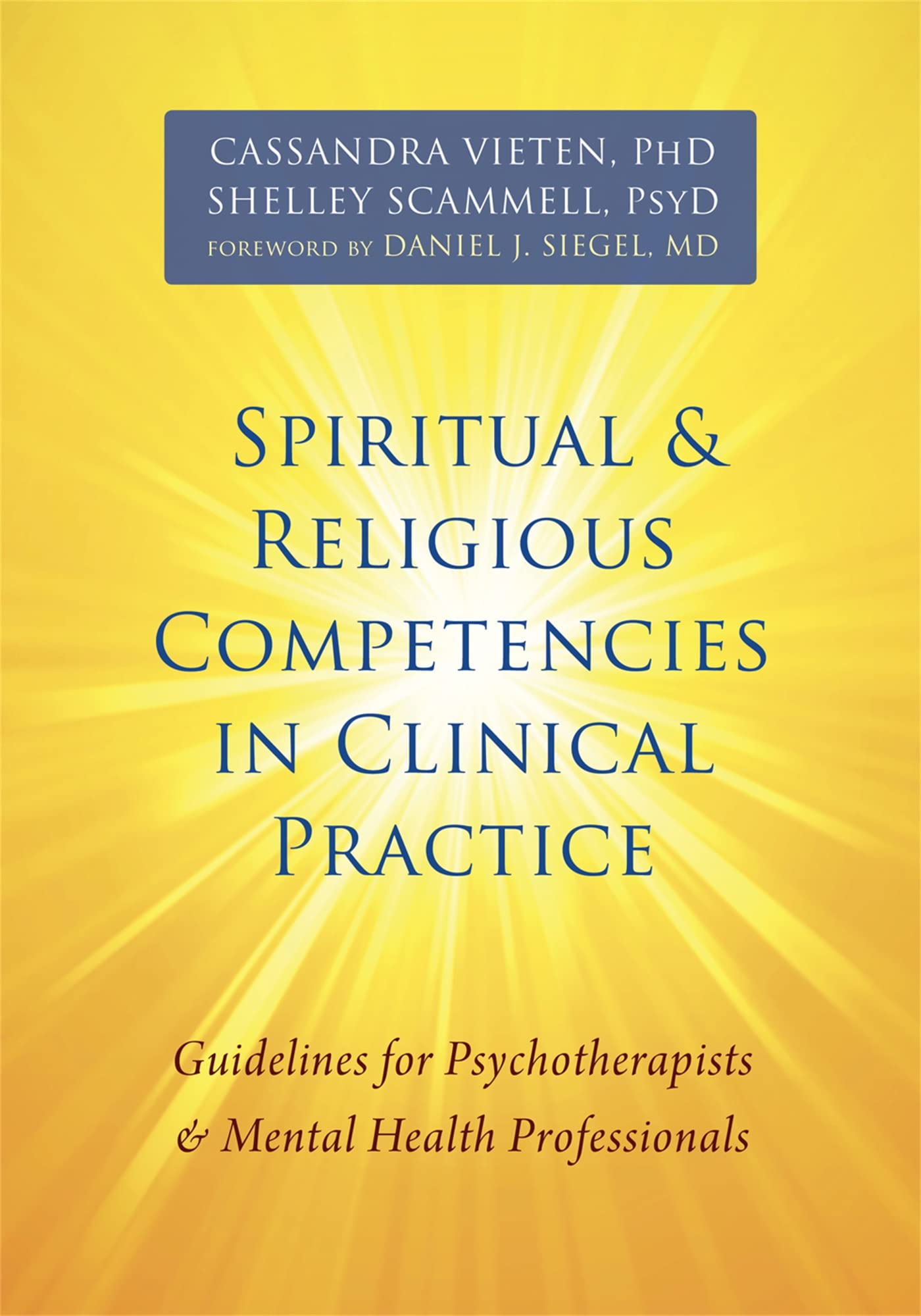 Buy Spiritual and Religious Competencies in Clinical Practice — BookShops.in