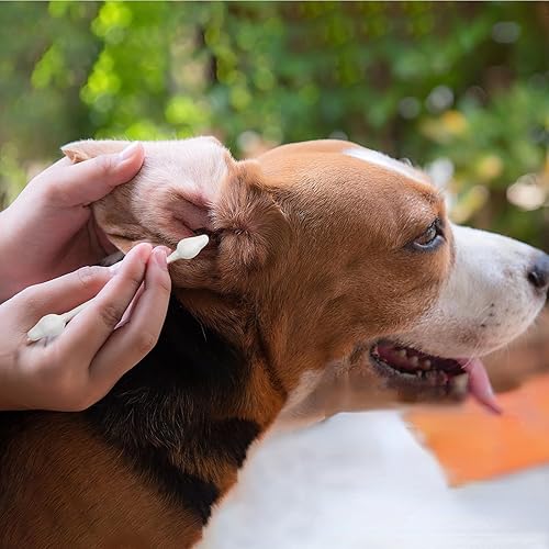 Miniatura 2 de Avont Hisopos de algodón para limpieza de orejas de perro, Qtips para mascotas, cuidado de oídos de doble cara grandes Q-Tips para perros y gatos, L
