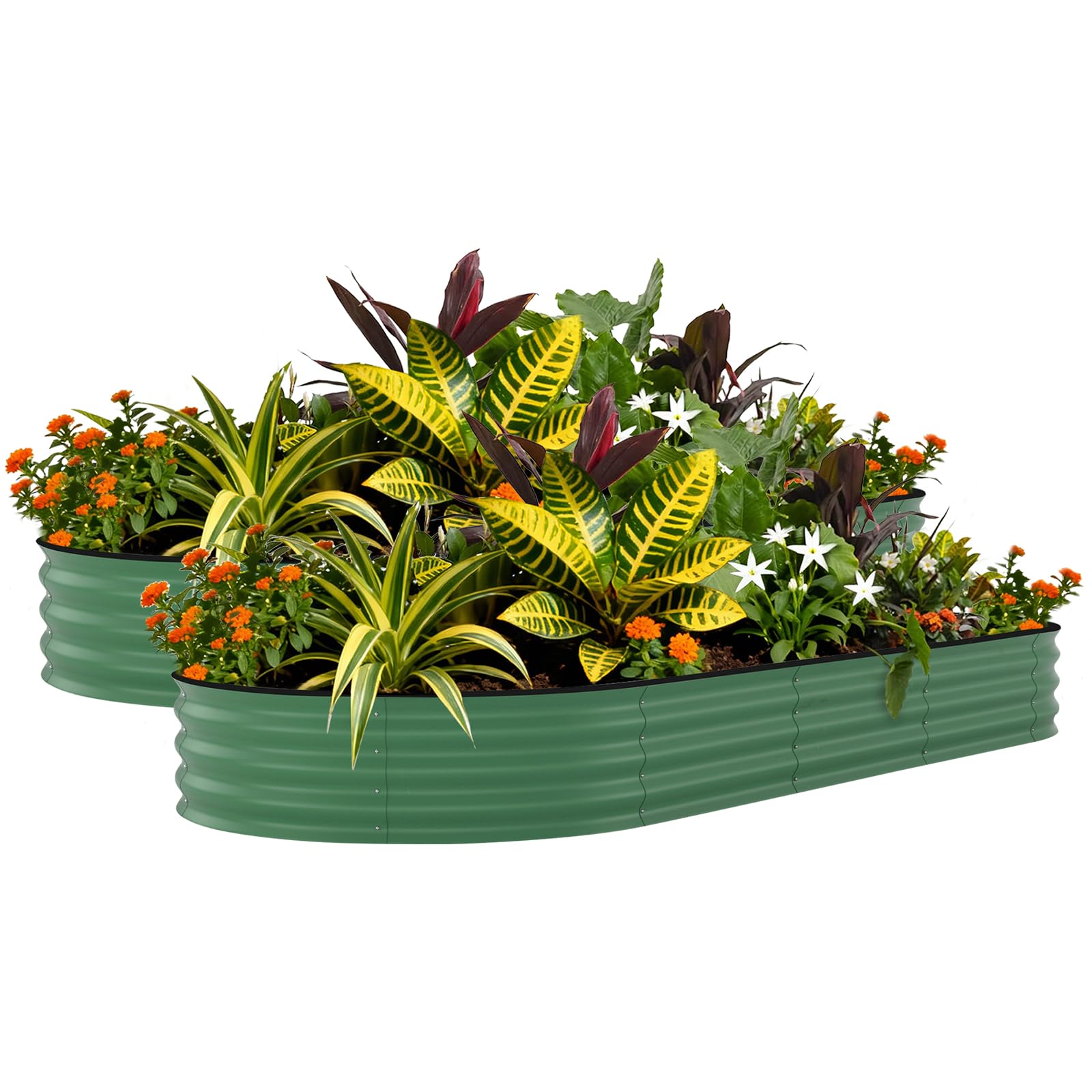 Aptliton 2 Pcs-Green-With Anti-Cut Strips 2 Pack Galvanized Raised Garden Beds Outdoor, 240X120x45cm, Rust-Resistant Metal Planter Boxes For Vegetables, Flowers & Herbs - Easy Assembly, Durable, Upgraded Anti-Cutting Strips - Green