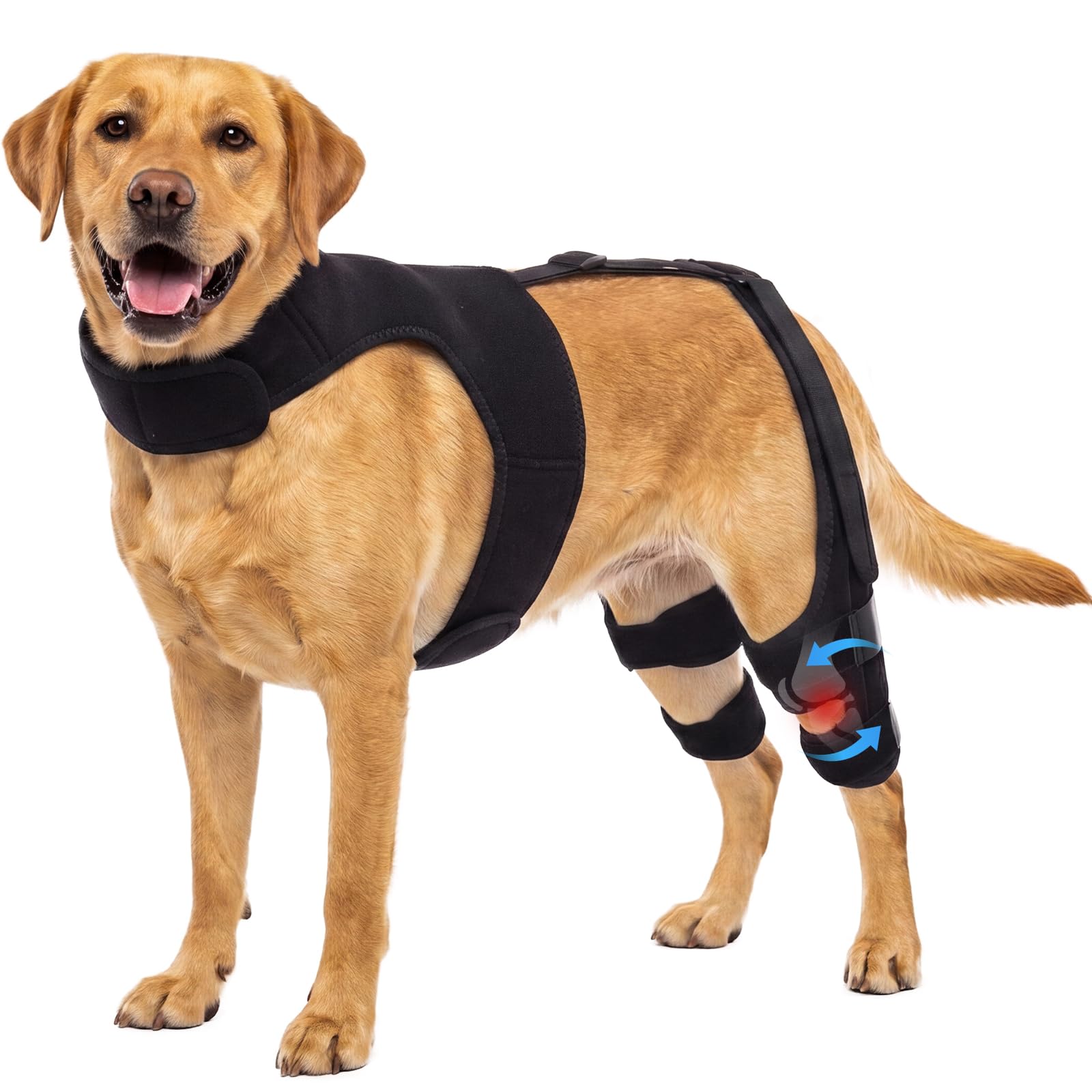 LeLePet Ginocchiera per cani con supporto per imbracatura, stabilizzatore