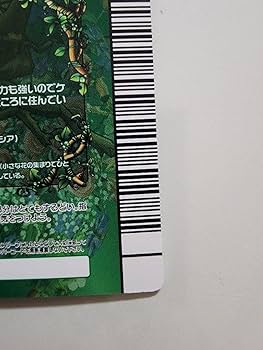 PSA10　コーカサスオオカブト　5周年コレクションカード　第2弾 Amazon.co.jp: ムシキング 5周年コレクションカード第2弾