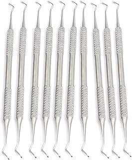LAJA IMPORTS Dental Instrument Excavator ENDODONTIC NO 17 KIT 10