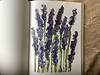 Review Image by Christine Christine