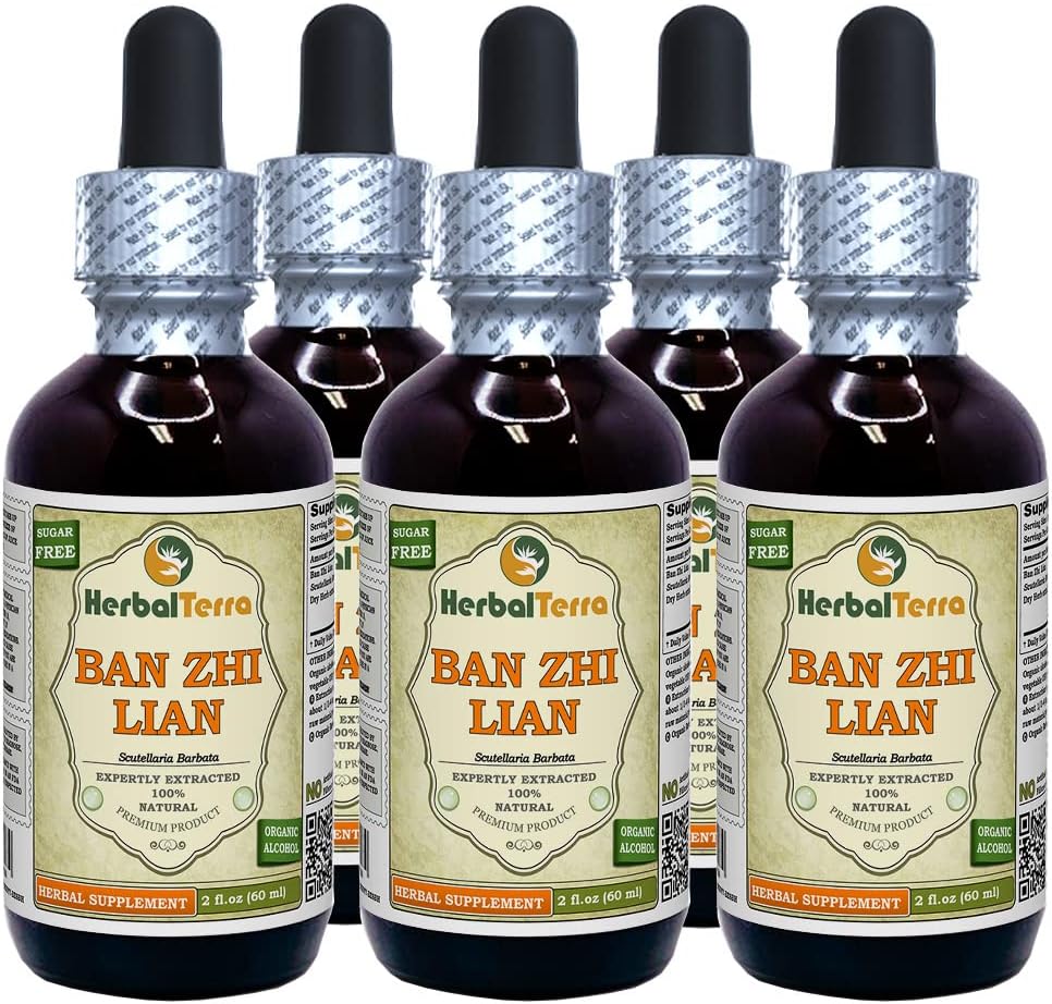 Ban Zhi Lian, Skullcap (Scutellaria Barbata) Tincture, Dried Herb Liquid Extract (Brand Name: HerbalTerra, Proudly Made in USA) 5x2 fl.oz (5x60 ml)
