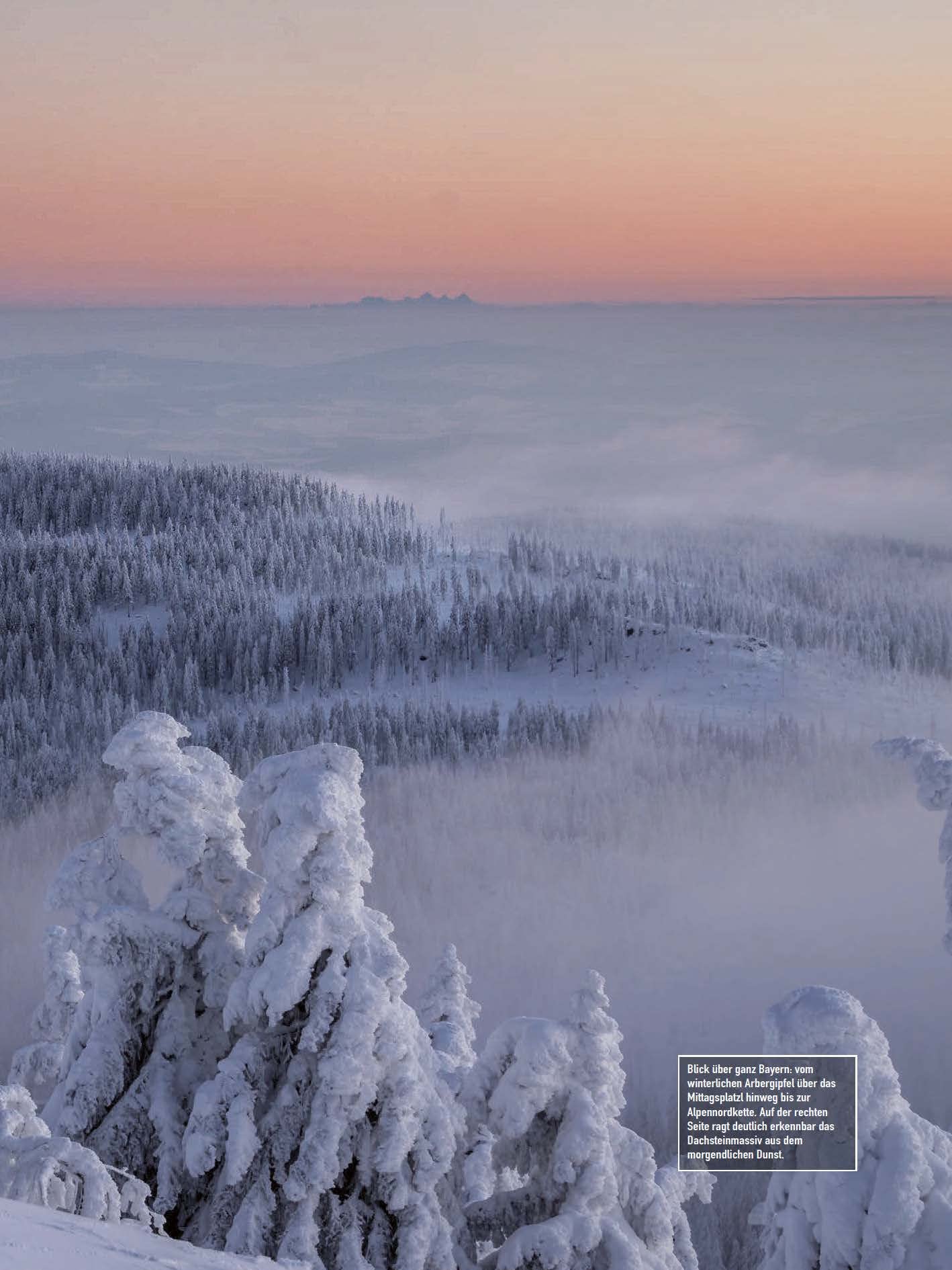 Faszination Bayerischer Wald