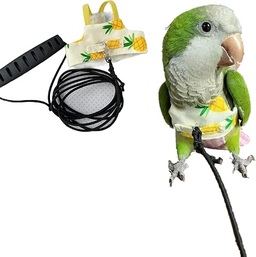 Bird Flight Harness Vest, Parrot Suit with Leash for Cockatiels Conures Budgies, Flying Clothes Rope and Handle Outdoor Activities Training