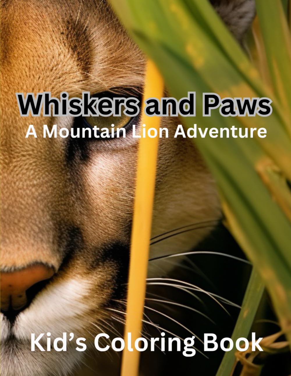 Album Whiskers and Paws A Mountain Lion Adventure illustration nature sauvage